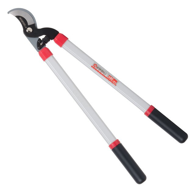 Сучкоріз садовий для обрізки гілок 680 мм INTERTOOL FT-1111