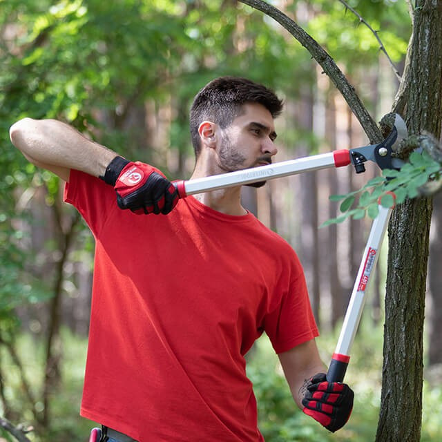 Сучкоріз садовий для обрізки гілок 680 мм INTERTOOL FT-1111